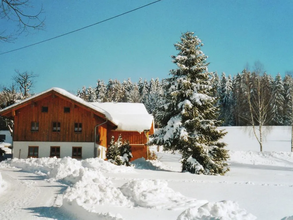 Lovely Holiday Home In Viechtach Near The Forest