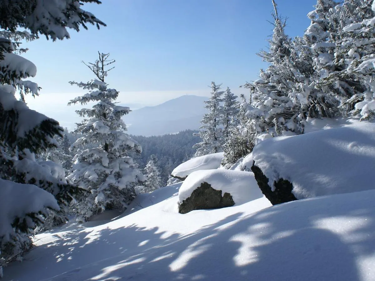 Lovely Holiday Home In Viechtach Near The Forest