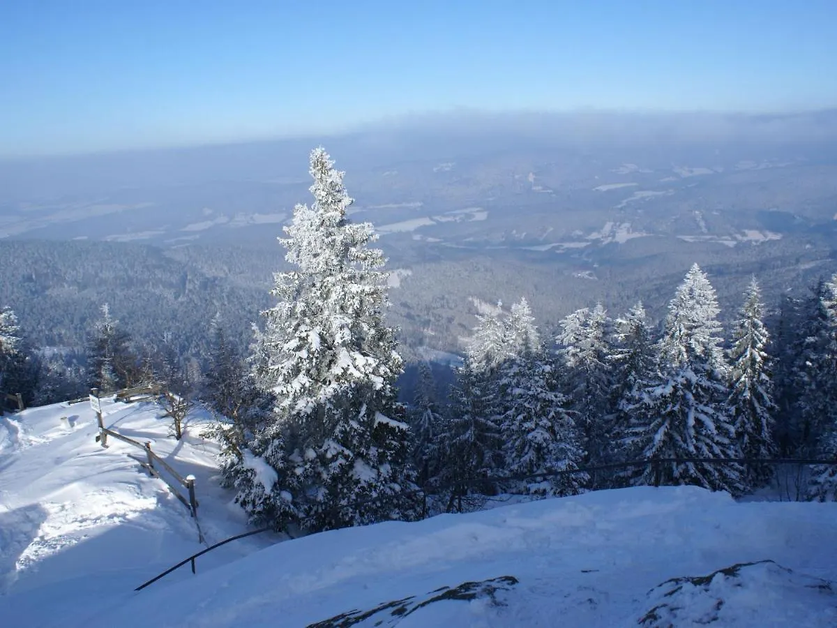 Lovely Holiday Home In Viechtach Near The Forest Γερμανία
